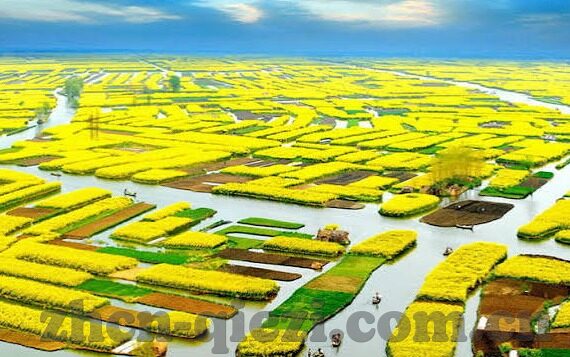 国产麻豆精品二区视频-权力与界限，国产麻豆精品二区视频的灰色地带探索