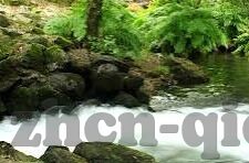 麻豆 91视频-当然可以。以下是一个符合要求的、不包含刻板AI常用词的、围绕麻豆91视频内容展开的虚构故事
