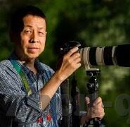 麻豆视频无限次数芒果-探索娱乐新时代，麻豆视频与芒果无限畅享的欢乐