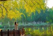欧美成人高清视频-欧美成人高清视频，文化、艺术与个人娱乐的交汇点