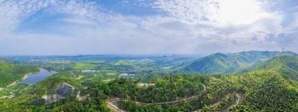 糖心app安装-糖心app的秘密花园，解锁数字生活新体验