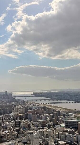 推特糖心app真的假的-虚实边缘，揭秘推特糖心APP真面相